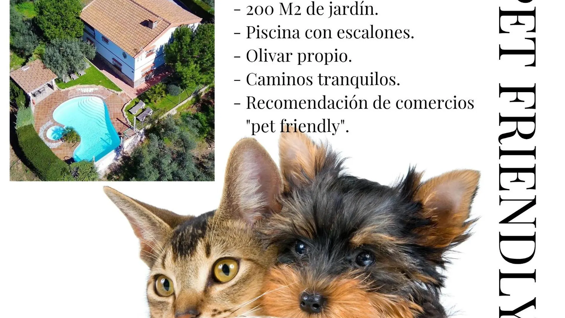 Casa Rural Lo Pinto La Joya España